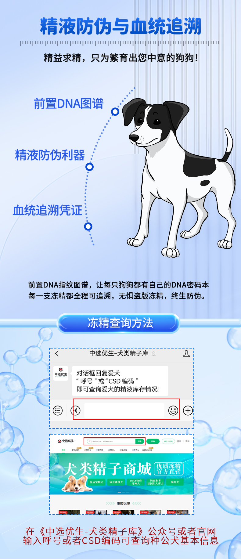 犬1_04.jpg